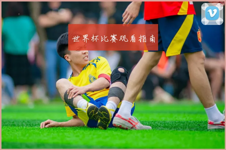 世界杯比赛观看指南