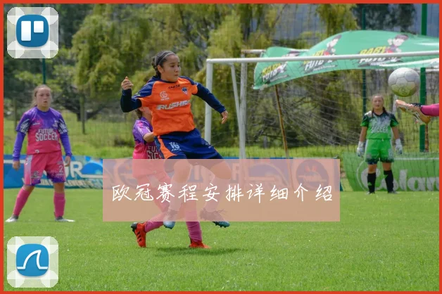欧冠赛程安排详细介绍
